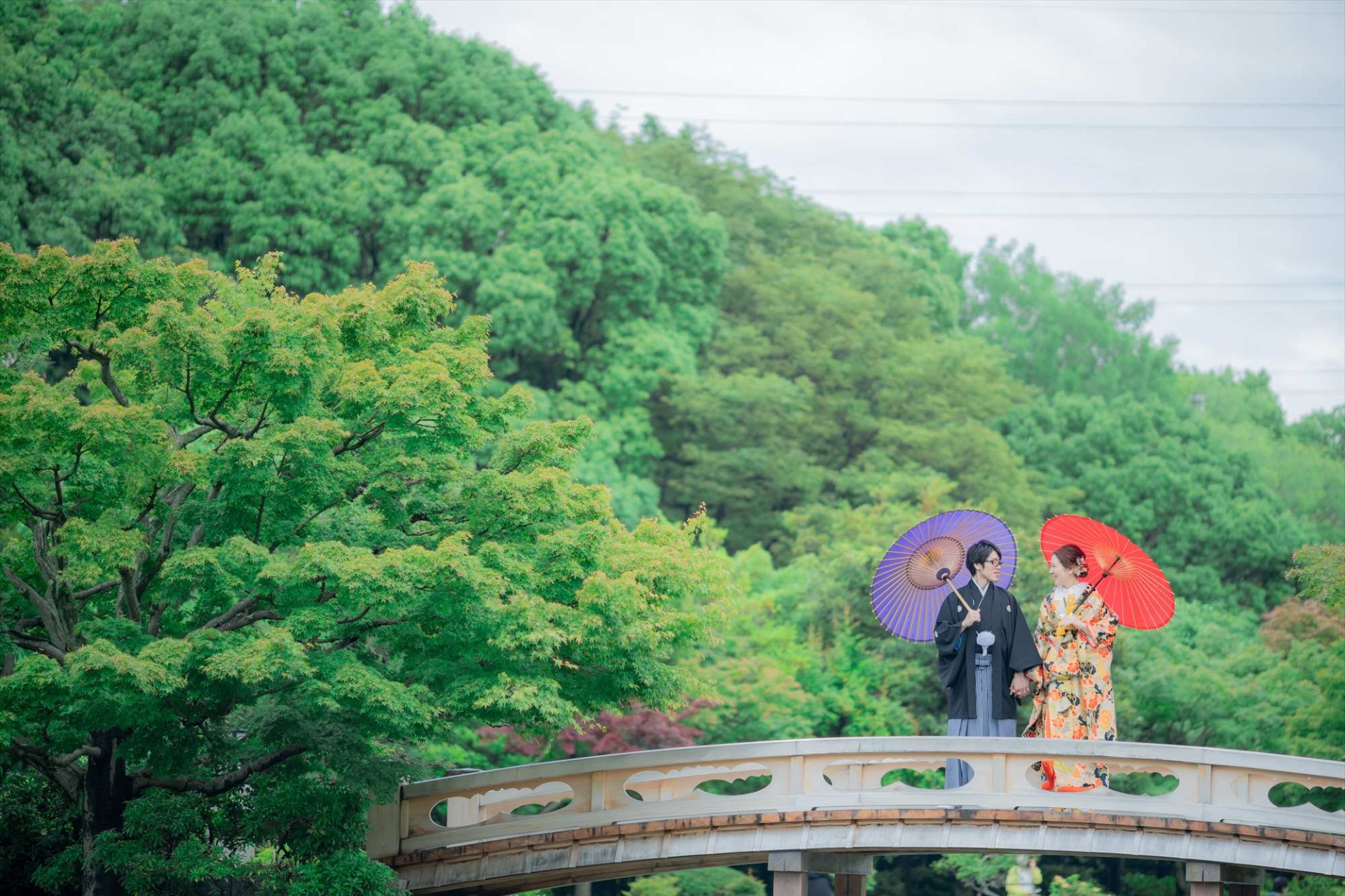 日本庭園や豊かな表情を見せる自然の中で撮影します
