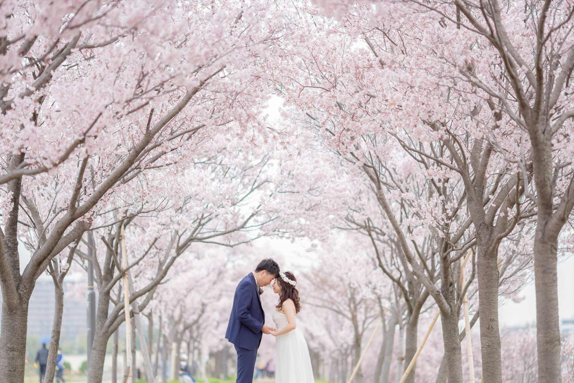 桜と撮影！春の前撮り・フォトウェディング♪鶴見緑地公園のロケーション撮影