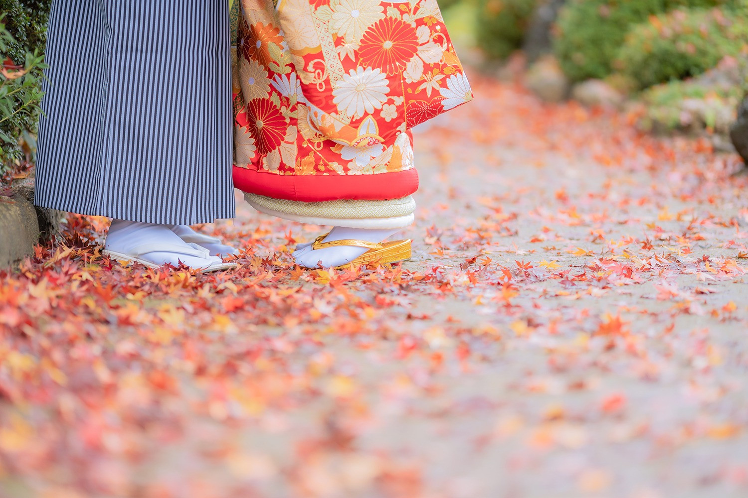 堺市で紅葉と和装前撮りなら大仙日本庭園で♫