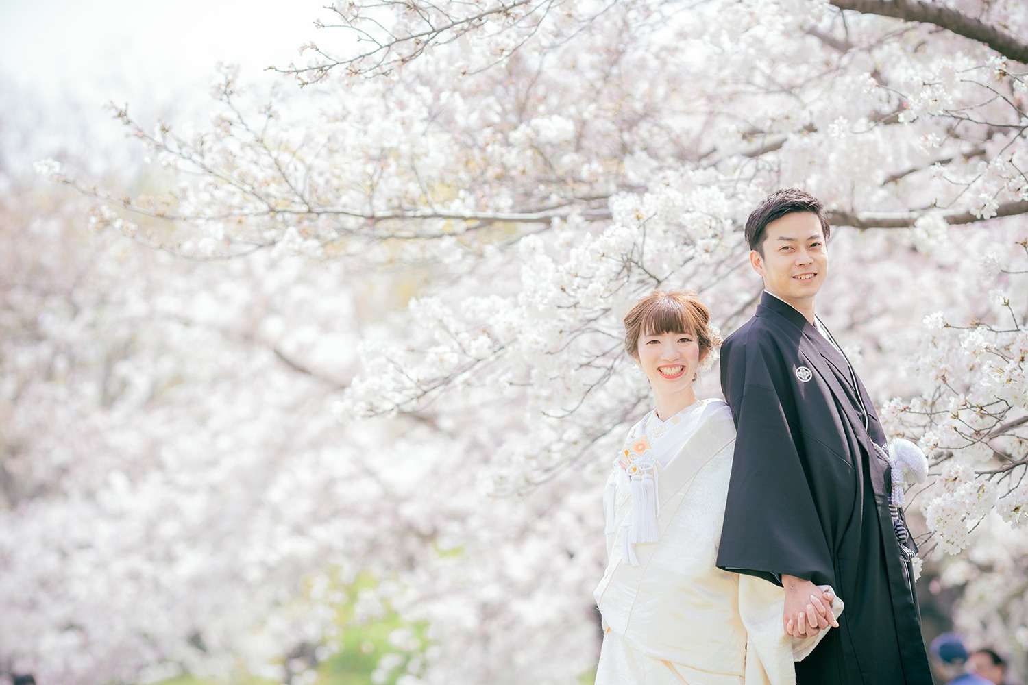 大阪で和装ロケは桜と一緒に！