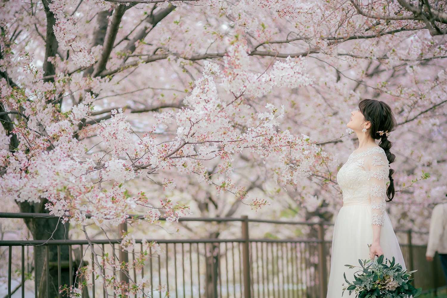 桜×ウェディングドレス