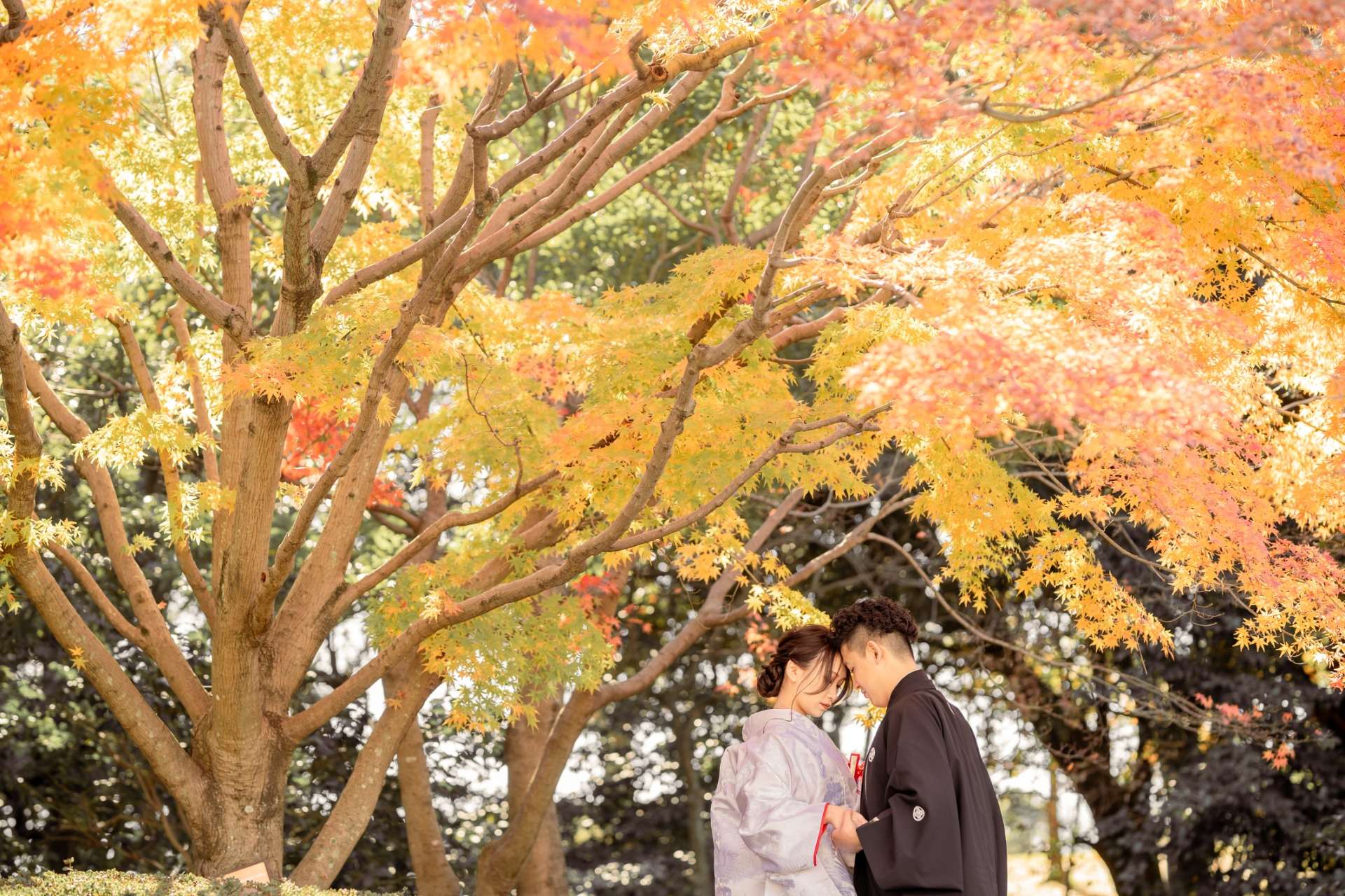 【早割】秋の前撮りはお早めにご予約ください。大阪・堺市・takane wedding