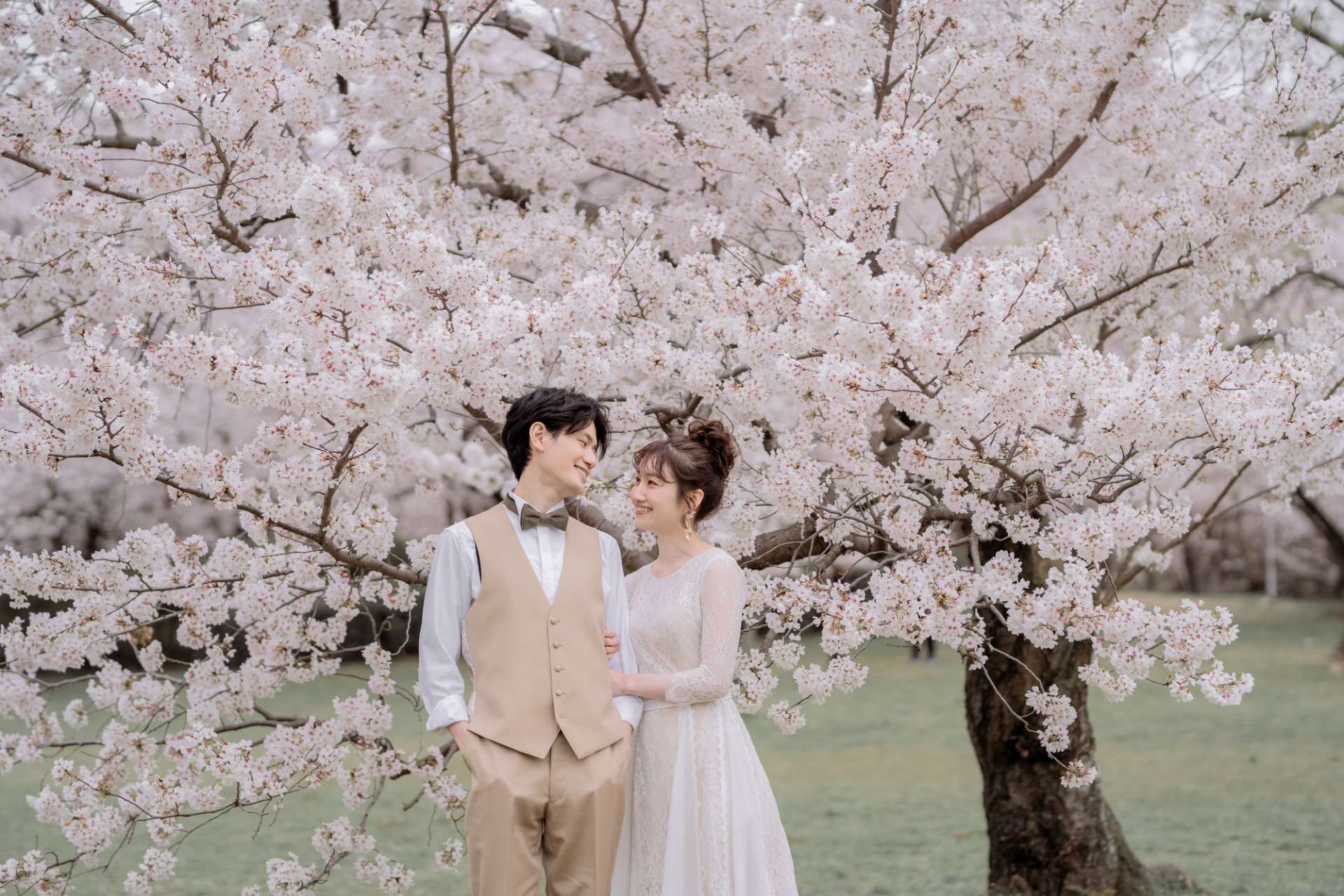 桜×ウェディングドレス