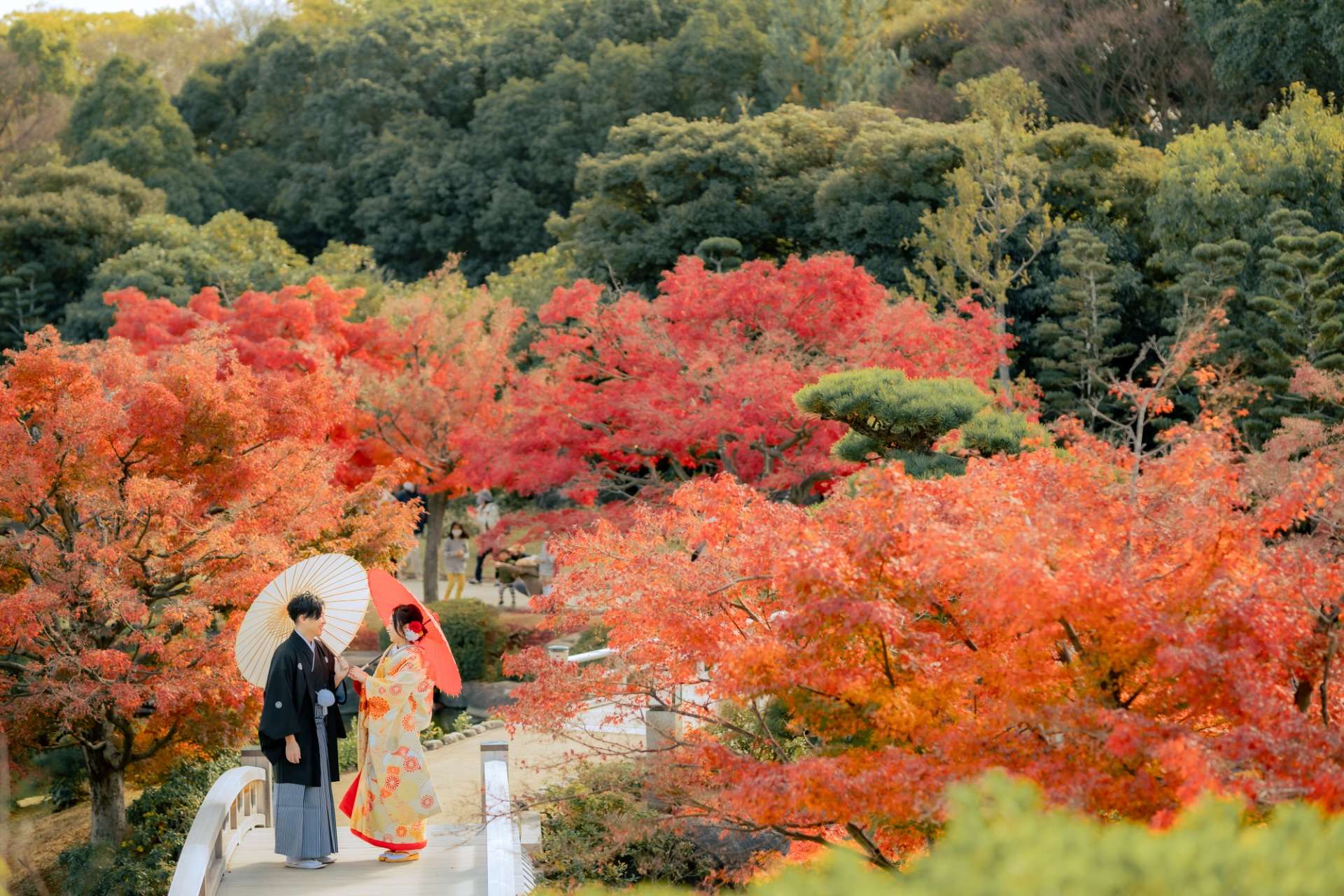 【紅葉と和装】秋晴れの空の下で前撮りを！大阪フォトスタジオtakane wedding