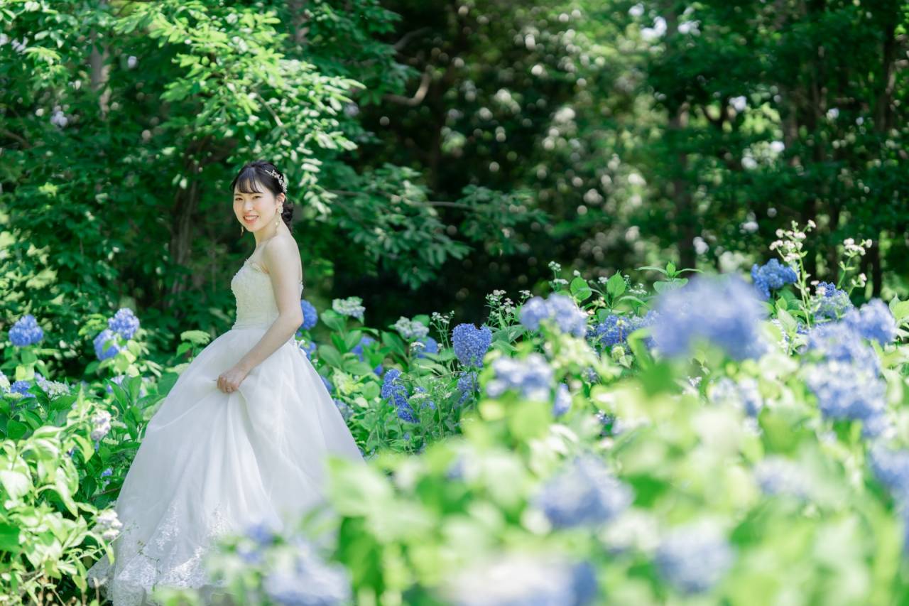 【紫陽花と前撮り】新緑時はお花とウェディングドレスで可愛い写真を前撮りできます。